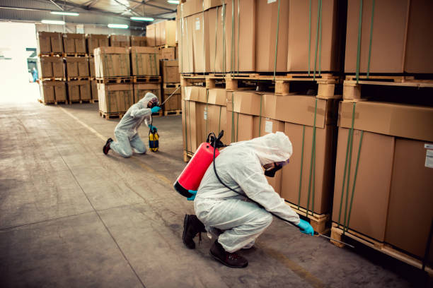 Best Mosquito Control Services  in Palmer Ranch, FL