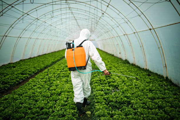 Best Best Pest Control Companies  in Palmer Ranch, FL