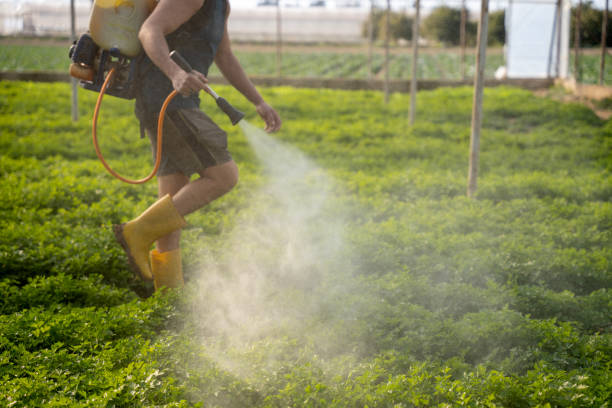 Best Best Pest Control Companies  in Palmer Ranch, FL