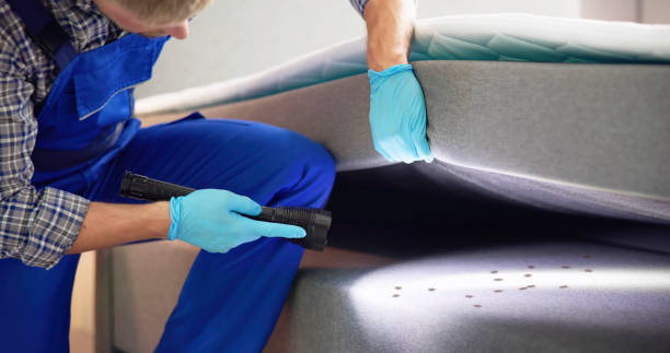 Best Residential Pest Control  in Palmer Ranch, FL